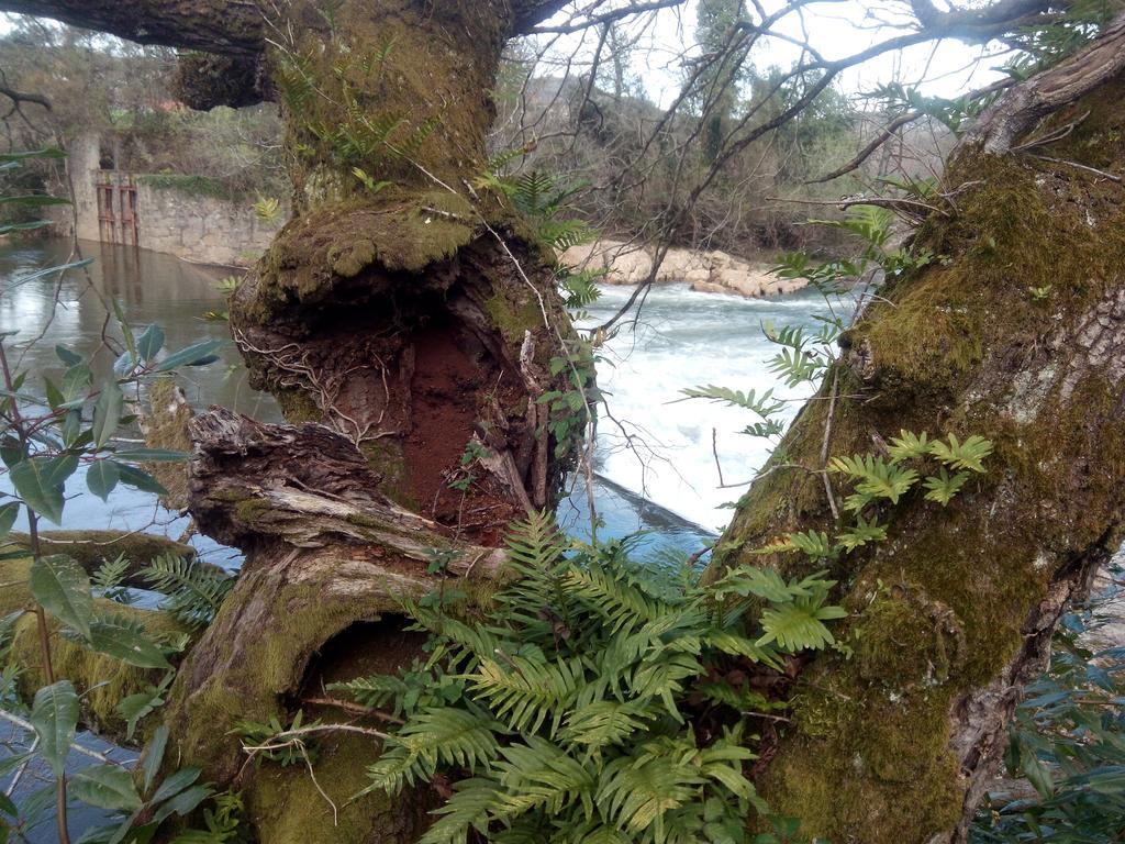 Posada La Cotia Helguera  Exteriör bild