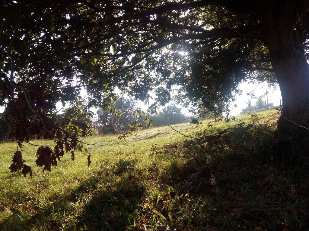 Posada La Cotia Helguera  Exteriör bild